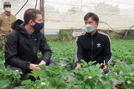 Les entreprises australiennes saluent les conditions d'investissements favorables au Vietnam