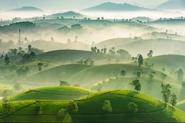 Les photographes vietnamiens en quête d’une reconnaissance internationale