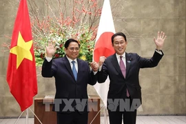 Relations extérieures : les relations Vietnam-Japon appréciées