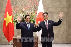 Relations extérieures : les relations Vietnam-Japon appréciées