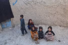 Vietnam-ONU : résolution des causes profondes des conflits, clé de la construction d'une nation pacifique