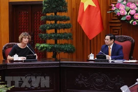 Le PM Pham Minh Chinh reçoit l'ambassadeur des Pays-Bas au Vietnam
