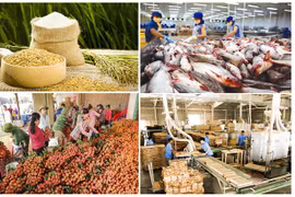 Exportation de produits agricoles: un record sans précédent