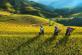 Lang Son concentre ses ressources sur le développement dans les zones de minorités ethniques