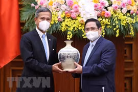 Le Vietnam salue l'initiative singapourienne de reconnaissance mutuelle de la vaccination