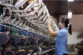 Le secteur privé, un moteur essentiel de la croissance au Vietnam