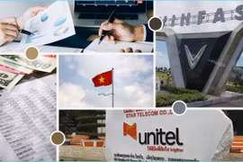 Les investissements du Vietnam à l'étranger bondissent de plus de 38% en 11 mois