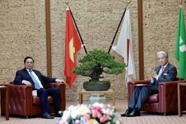 Le Vietnam souhaite porter ses relations avec le Japon à un nouveau sommet