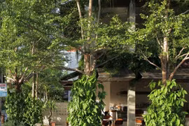 Un café vert à Hôi An apparaît sur le magazine américain Archdaily 