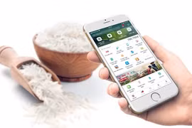 Effervescence des achats en ligne en préparation du Têt