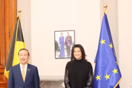 Vietnam – Belgique : perspectives de coopération dans de nombreux domaines 