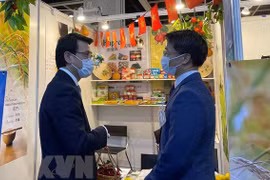 Potentiel de coopération entre les localités du Vietnam et de Hong Kong (Chine) après la pandémie 
