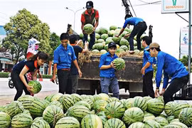 Plusieurs modèles s’organisent pour venir en aide aux agriculteurs