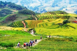 Bac Hà, une destination touristique à fort potentiel dans le Nord-Ouest 