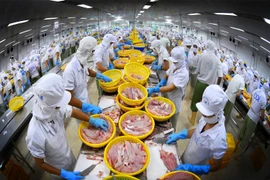 Le marché du pangasius reprend des couleurs après une année 2020 morose