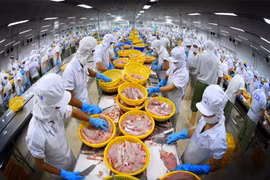 Le marché du pangasius reprend des couleurs après une année 2020 morose