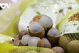 Le marché australien attend avec impatience le longane vietnamien frais