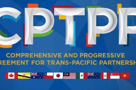 Le Vietnam est prêt à partager ses informations et ses expériences sur l’adhésion au CPTPP