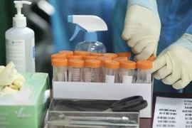 COVID-19 : plus de 4.800 nouveaux cas enregistrés ce mercredi matin