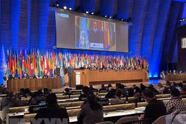 Hô Xuân Huong et Nguyên Dinh Chiêu seront célébrés par l’UNESCO