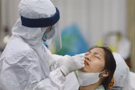 COVID-19 : 31 nouveaux cas confirmés jeudi soir