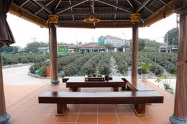 L’«or vert» de Thai Nguyên