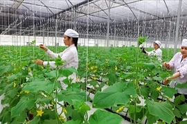 La province de Thanh Hoa en route vers la nouvelle ruralité