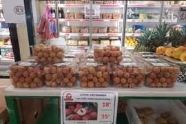 Le Vietnam a expédié pour 1,56 md de dollars de biens vers la France