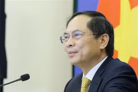 Le ministre des Affaires étrangères Bui Thanh Son rencontre son homologue britannique