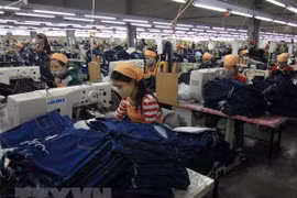 Le consulat général d'Indonésie s'efforce de promouvoir les investissements à Dong Nai