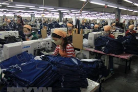 Le consulat général d'Indonésie s'efforce de promouvoir les investissements à Dong Nai