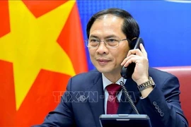Vietnam-Chine : conversation téléphonique entre Bui Thanh Son et Wang Yi