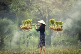 Comment garantir la sécurité alimentaire en Asie-Pacifique?
