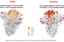 COVID-19 : améliorer les capacités de santé à la base en réponse au variant Omicron