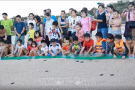 Ninh Thuân promeut le développement durable du parc national de Nui Chua