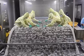 Vers de nouvelles opportunités de coopération pour les entreprises Vietnam-Brésil