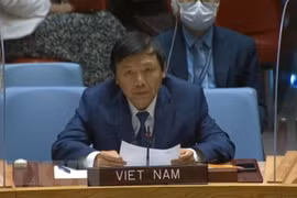 Le Vietnam se joint aux efforts pour protéger les acteurs humanitaires dans les zones de conflit
