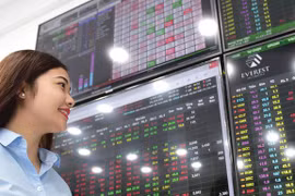 Bourse : l’indice VN-Index ne connaît pas la crise 