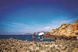À Ninh Thuân, le tourisme rime avec la protection des récifs coralliens