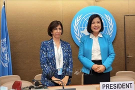 Le Vietnam assume le rôle de vice-président d'une session d'un organe onusien 