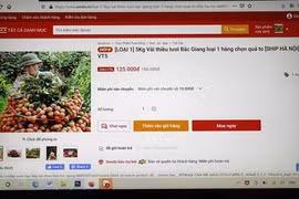 Bloomberg : potentiel la croissance de commerce électronique du Vietnam