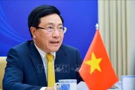 ASEAN : le Vietnam et d'autres pays coopèrent pour repousser l'épidémie