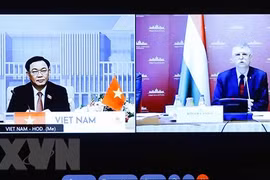 Entretien en ligne entre les présidents des Assemblées nationales Vietnam-Hongrie