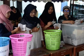 Thaïlande : 26 partis obtiennent des sièges à la Chambre des représentants