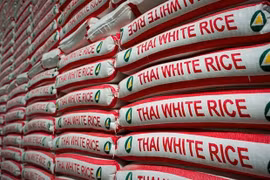 Thaïlande : chute des exportations de riz en février