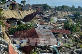 L’Indonésie installera 10 stations d’alerte aux tsunamis sur les plages de Bali