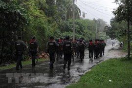 Myanmar: intensification des affrontements entre l'armée et les rebelles à Rakhine