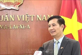L'ambassadeur du Vietnam en Malaisie, Dinh Ngoc Linh. Photo : VNA