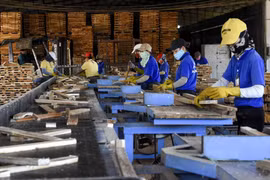 Photo d'illustration : internet