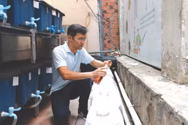 Nguyên Tuân Anh vérifie la décomposition des bouteilles de solution pour créer un engrais organique microbien. Photo : VNA/CVN